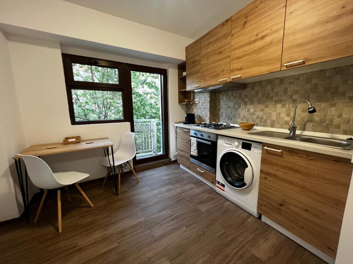 Central Studio Apartment Bucureşti Exterior foto